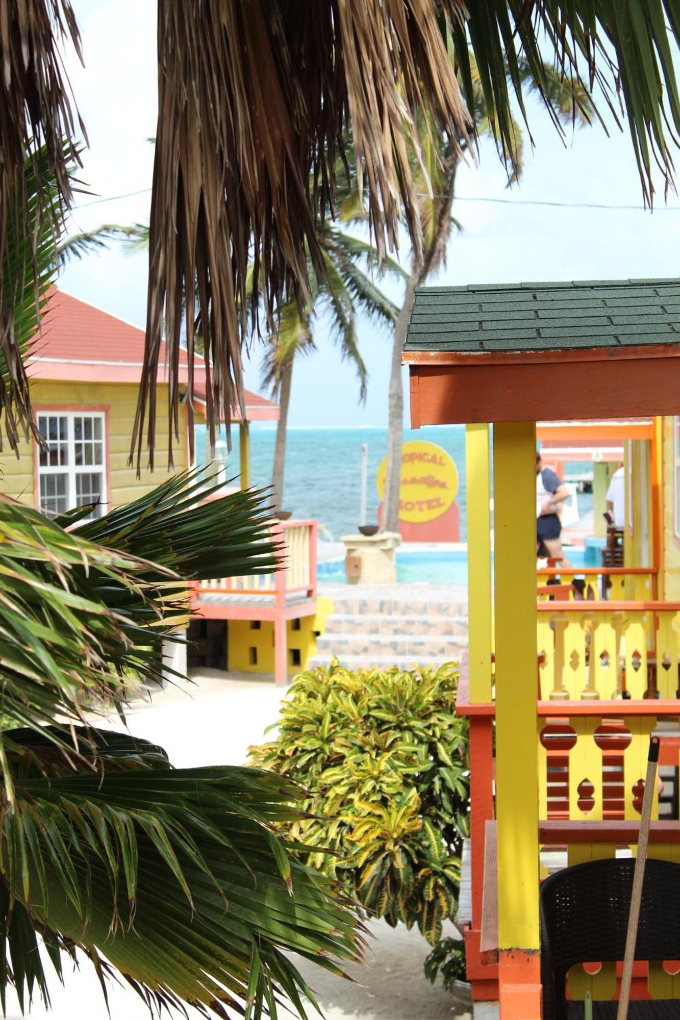 Tropical Paradise Caye Caulker Exteriér fotografie